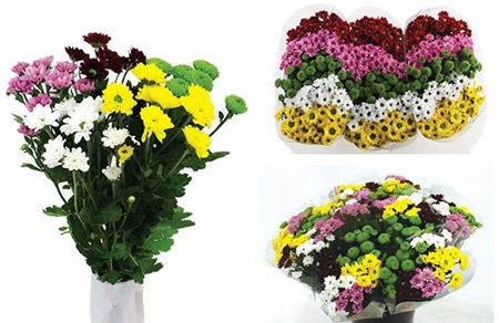 101 Сантини Микс